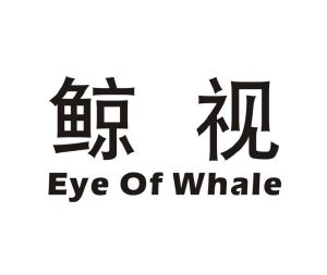 鲸视 EYE OF WHALE