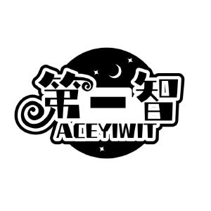 第一智 ACEYIWIT