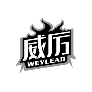 威厉 WEYLEAD