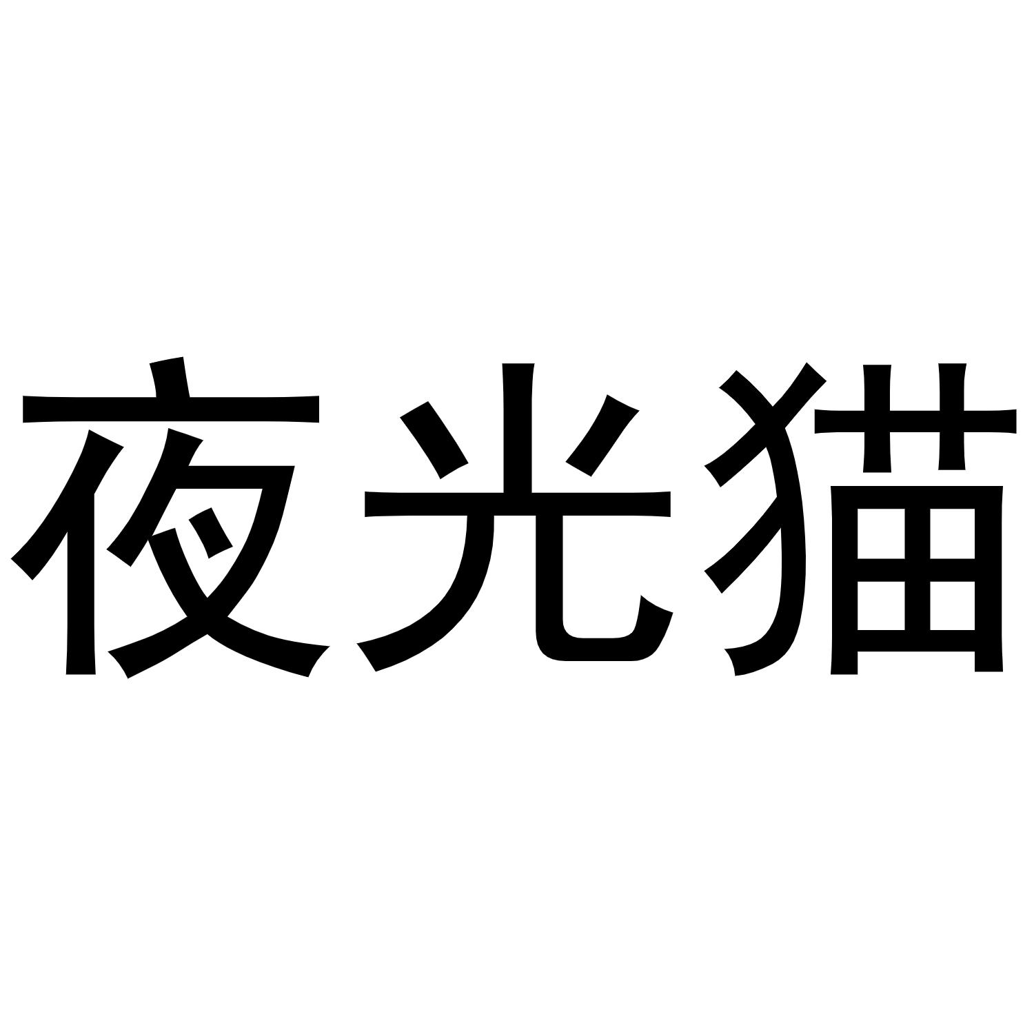 夜光猫