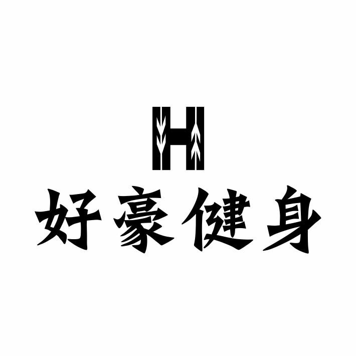 好豪健身 H