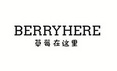 草莓在这里 BERRYHERE