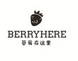 草莓在这里  BERRYHERE