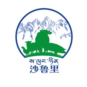 沙鲁里