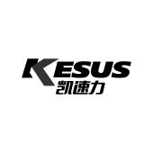 凯速力  KESUS