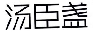 汤臣盏