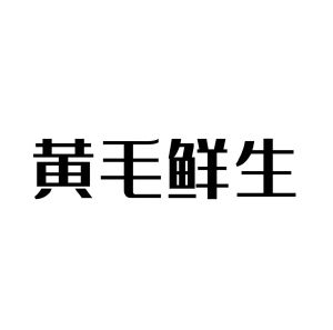 黄毛鲜生