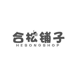合松铺子 HESONGSHOP