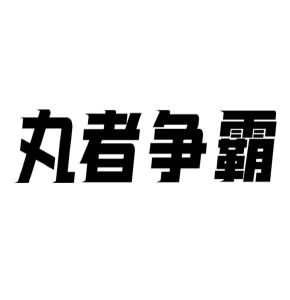 丸者争霸
