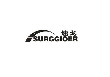 速戈 SURGGIOER