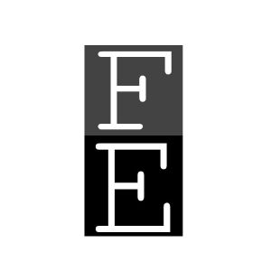 FE