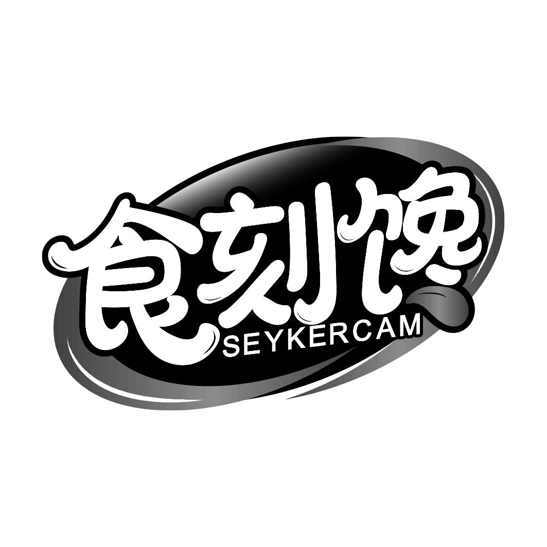 食刻馋 SEYKERCAM