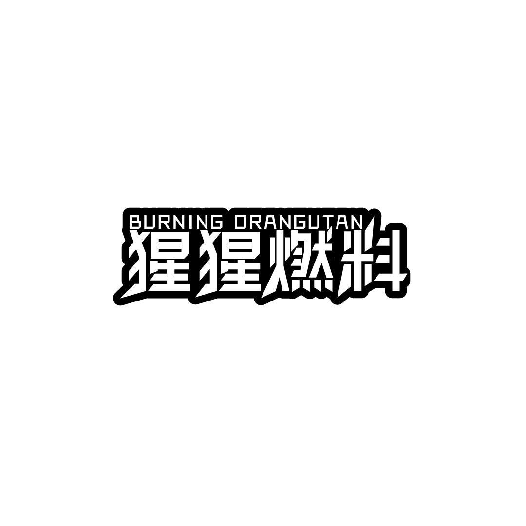 BURNING ORANGUTAN 猩猩燃料