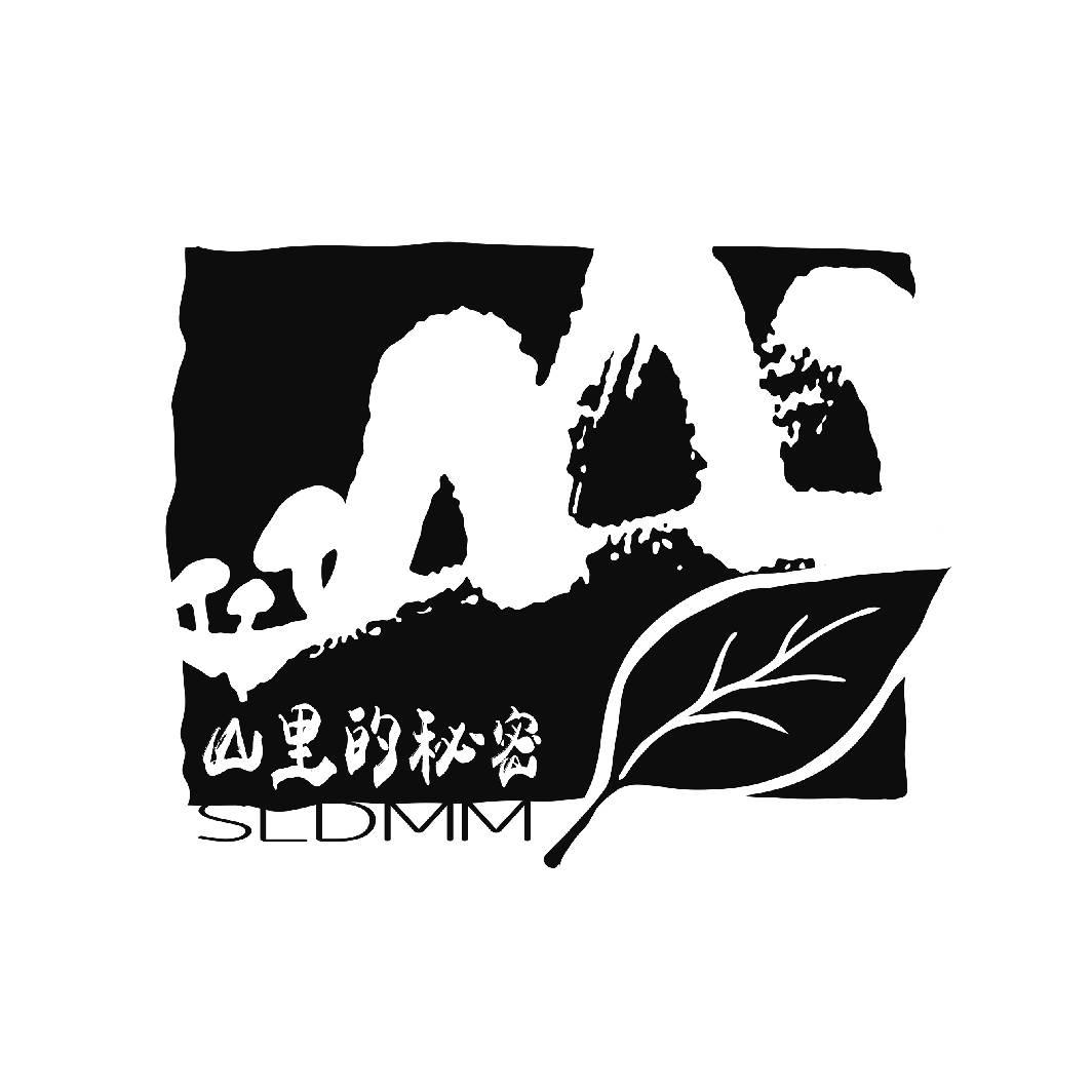 山里的秘密 SLDMM