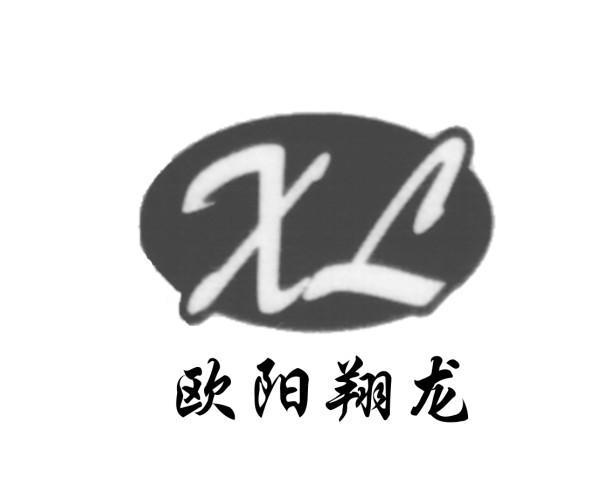 欧阳翔龙 XL