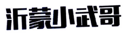 沂蒙小武哥