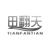 田翻天