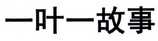 一叶一故事