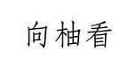 向柚看