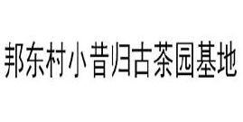 邦东村小昔归古茶园基地