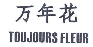 万年花 TOUJOURS FLEUR