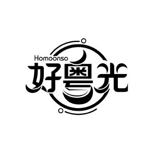 好粤光 HOMOONSO