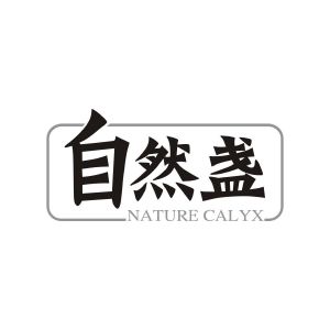 自然盏 NATURE CALYX
