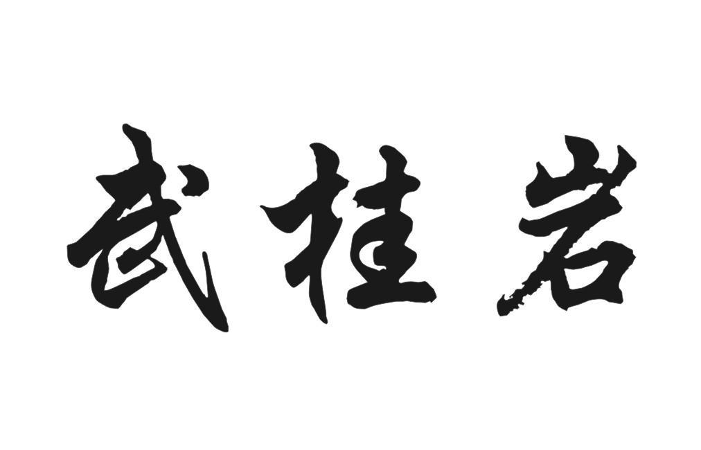 武桂岩