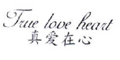 真爱在心  TRUE LOVE HEART