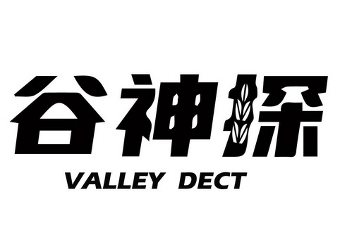谷神探 VALLEY DECT