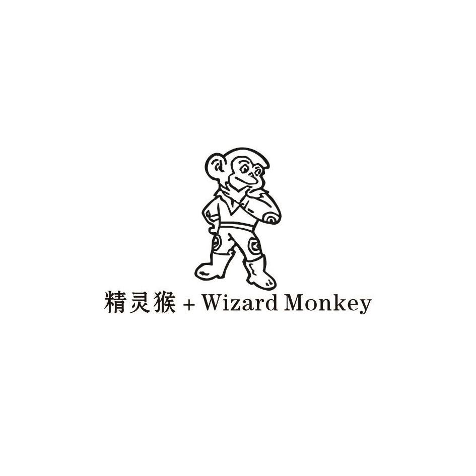 精灵猴 WIZARD MONKEY