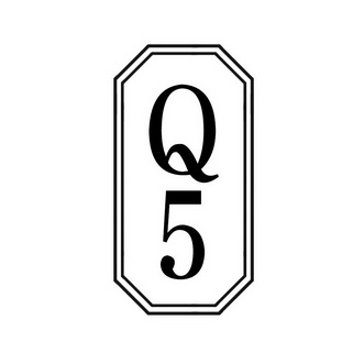 Q 5