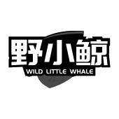 野小鲸  WILD LITTLE WHALE