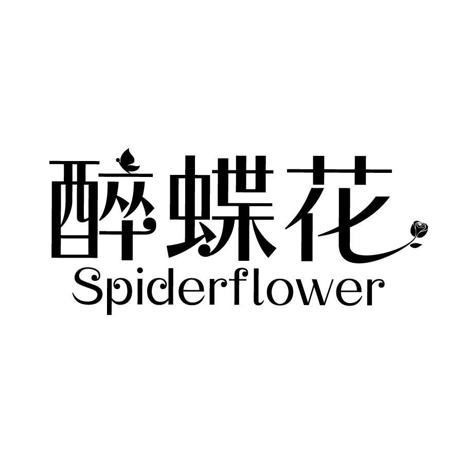 醉蝶花 SPIDERFLOWER