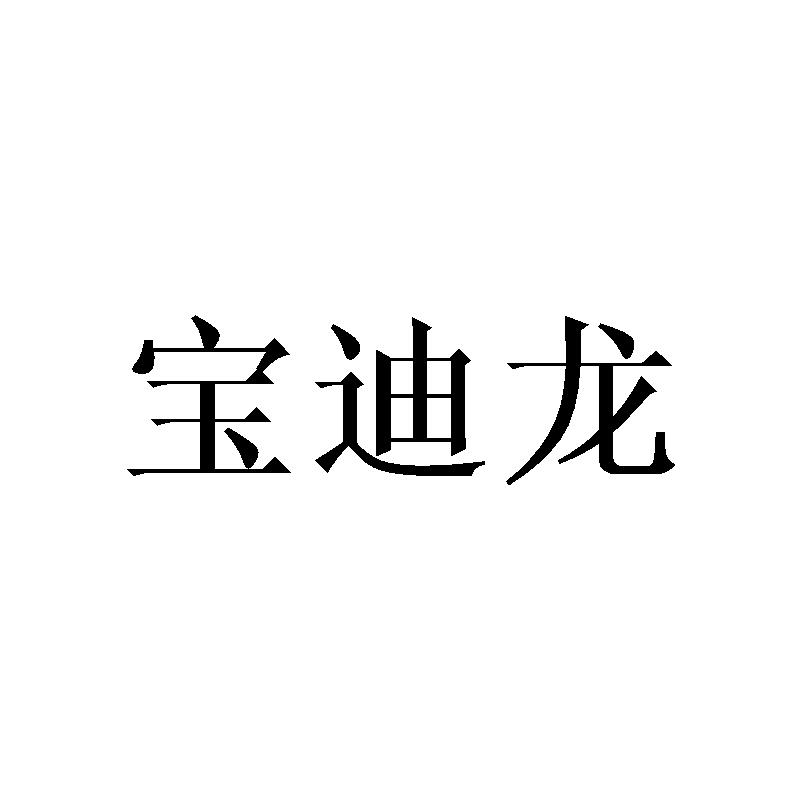 宝迪龙