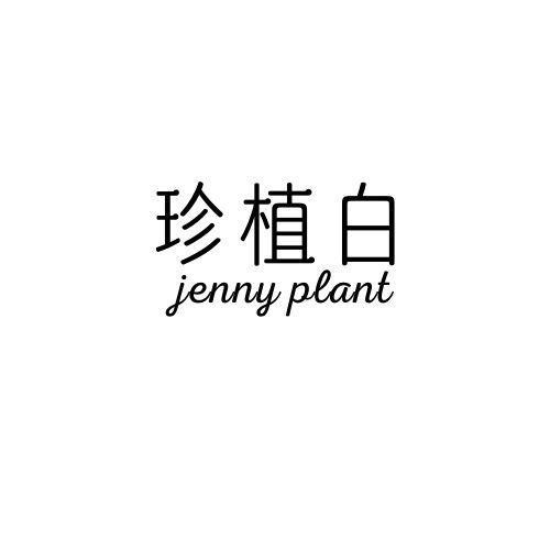 珍植白 JENNY PLANT