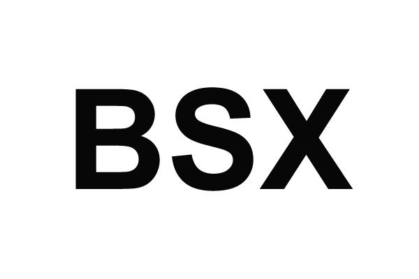 BSX