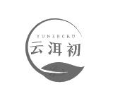 云洱初