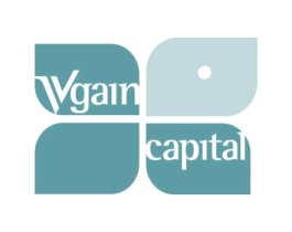 VGAIN CAPITAL