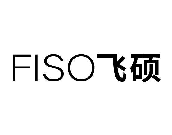 FISO 飞硕
