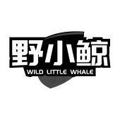 野小鲸 WILD LITTLE WHALE