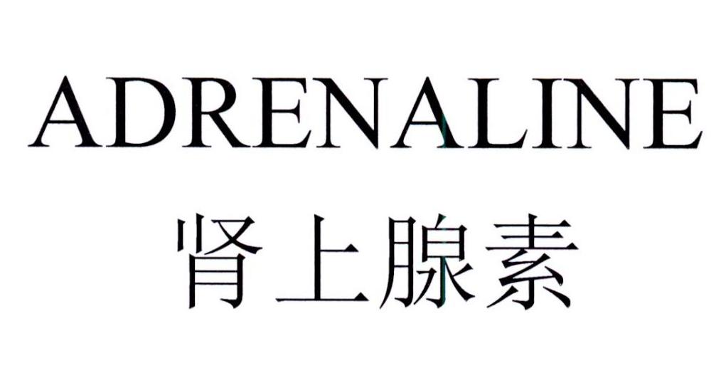 肾上腺素 ADRENALINE