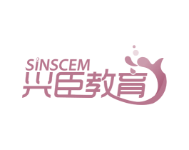 兴臣教育 SINSCEM