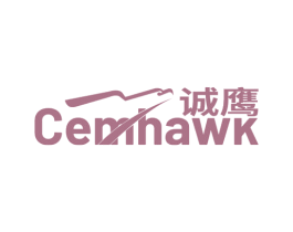 诚鹰 CEMHAWK
