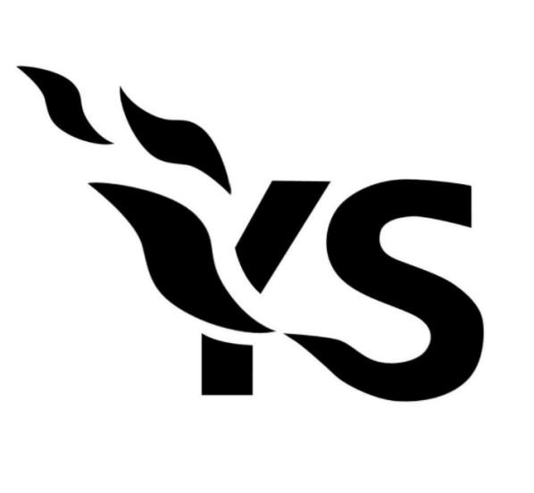YS