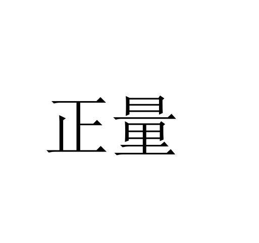 正量