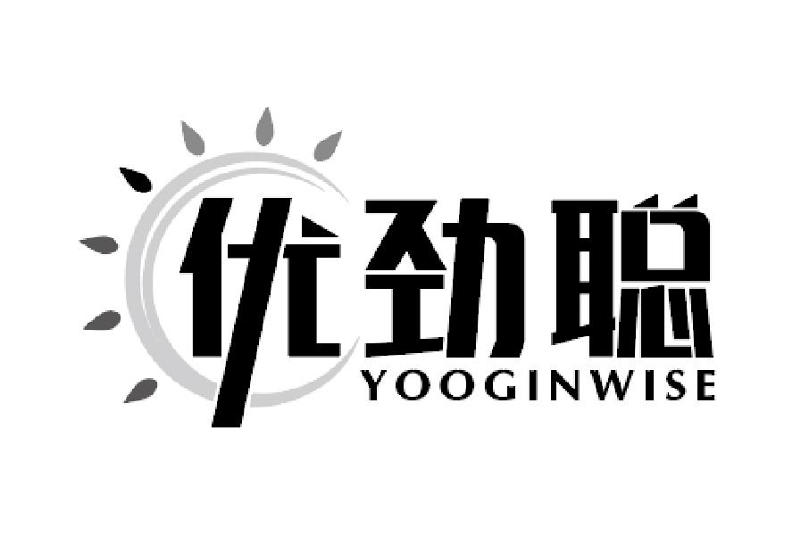 优劲聪 YOOGINWISE