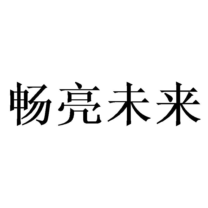 畅亮未来