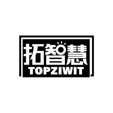 拓智慧 TOPZIWIT