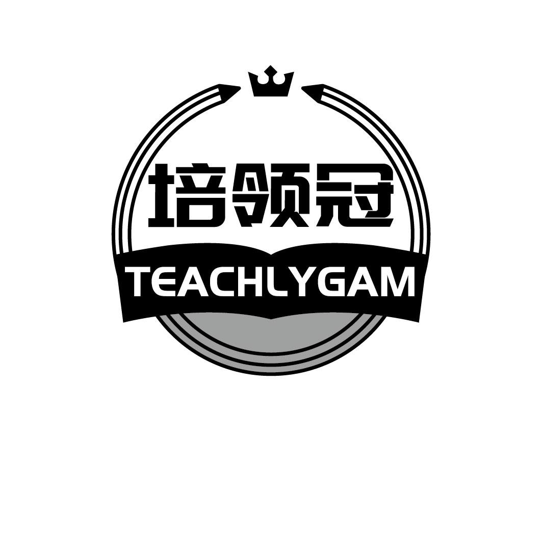 培领冠 TEACHLYGAM